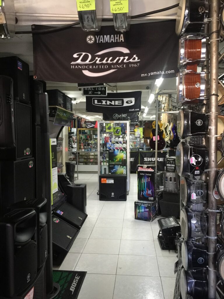 11990 electronica teran 768x1024