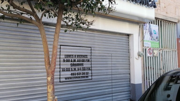 12046 steren fresnillo 768x432