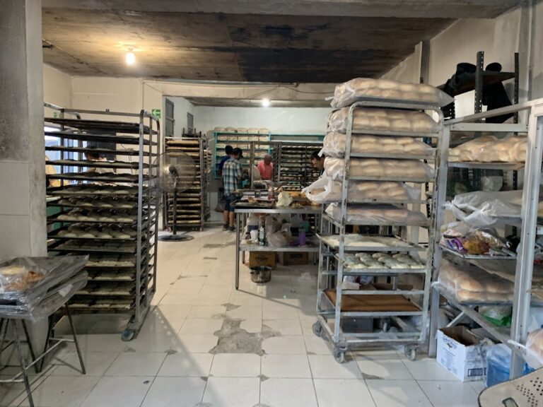 12066 panaderia de los cabos 768x576