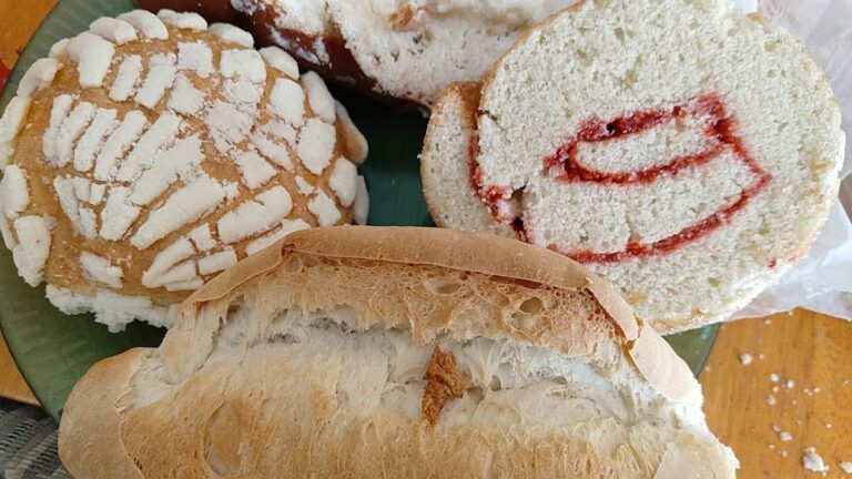 12098 panificadora el zacatal 768x432