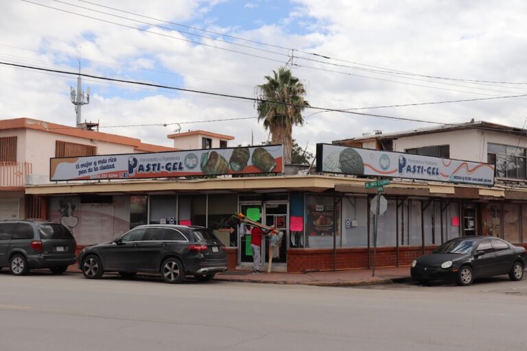 12114 pastigel 768x512