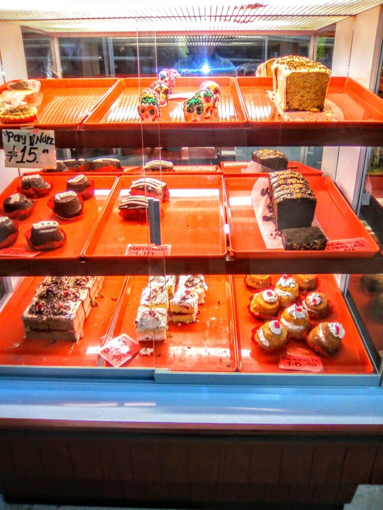 12138 panificadora nuevo torreon 768x1024