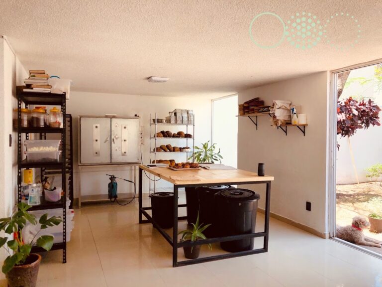 12199 martesana pan de masa madre 768x576