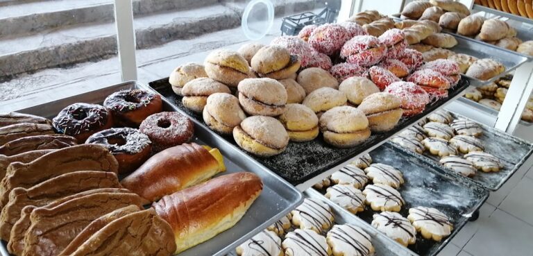 12205 panificadora los alamos 768x369