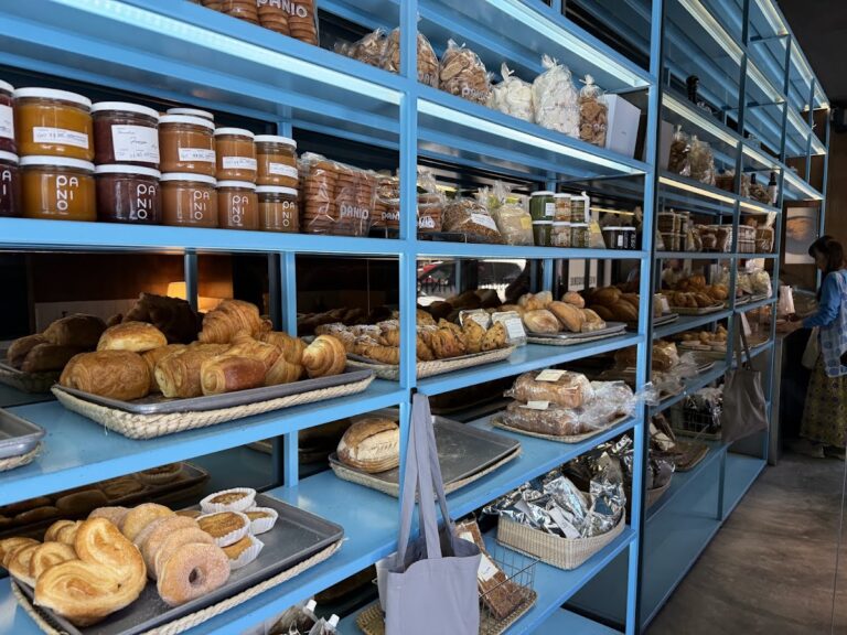 12219 panio celaya 768x576