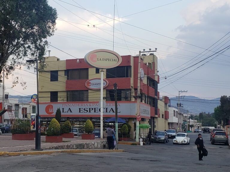 12227 panaderia la especial s.a. de c.v 768x575