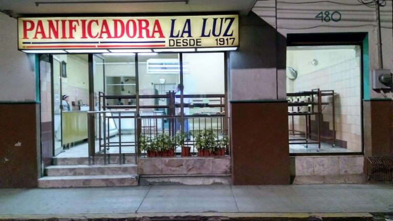 12247 panificadora la luz de occidente s.a. de c.v 768x432