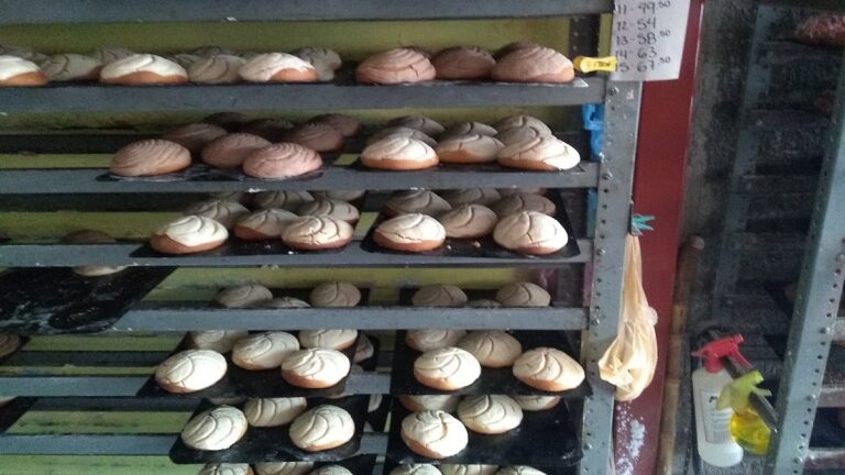 12265 panaderia de los caramelos 768x432