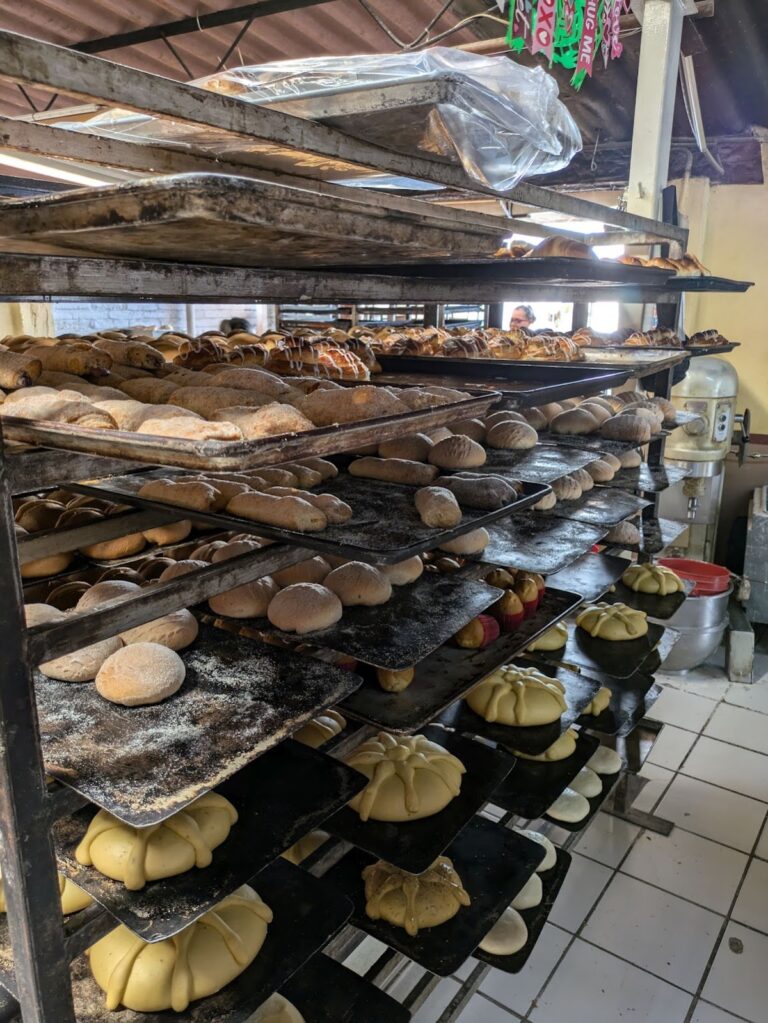 12267 panaderia la chiquita 768x1023