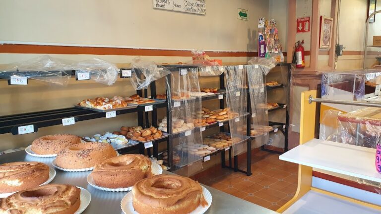 12281 pan copo 768x432