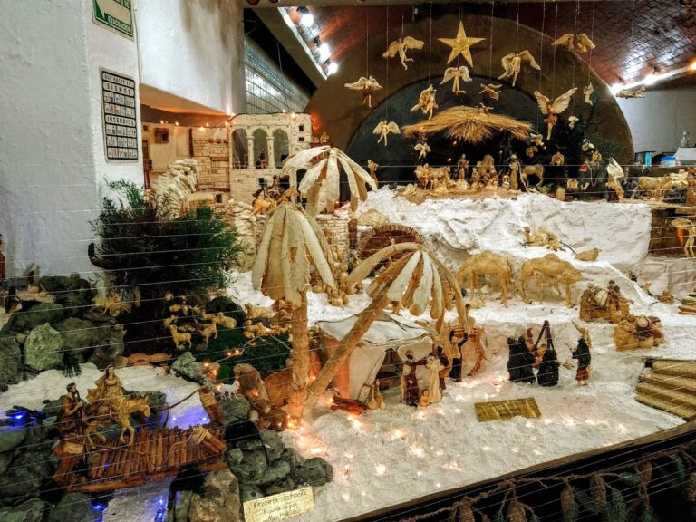 12314 horno los ortiz 768x576