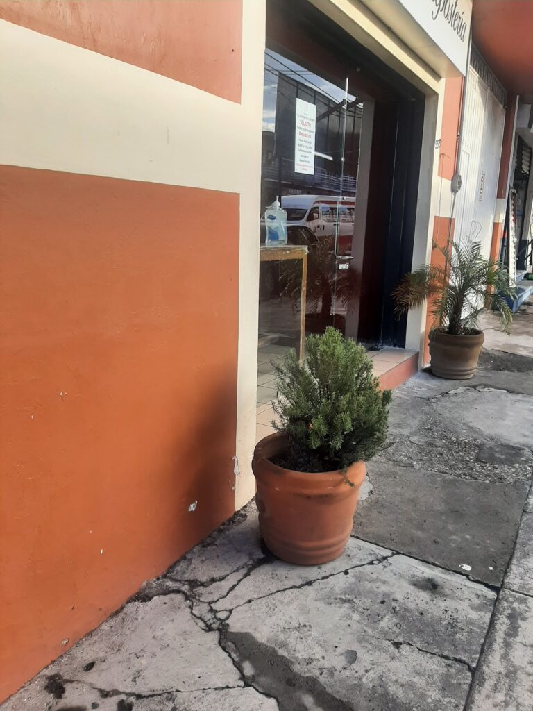 12321 panaderia la tradicion de la abuela 768x1024