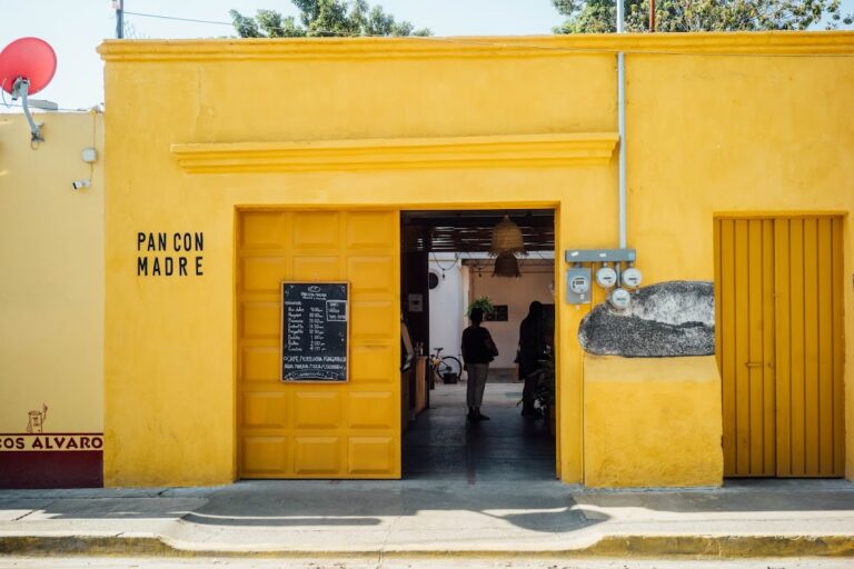 12349 pan con madre 768x512