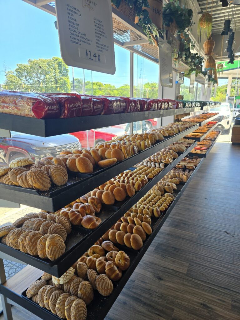 12397 bonpane 768x1024