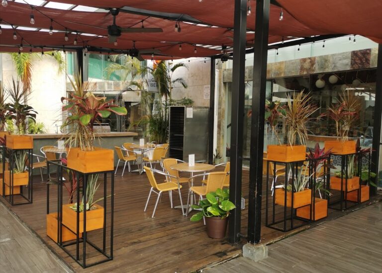 12409 la anoranza 768x550