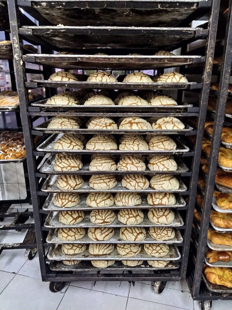 12411 la casita del pan 768x1024