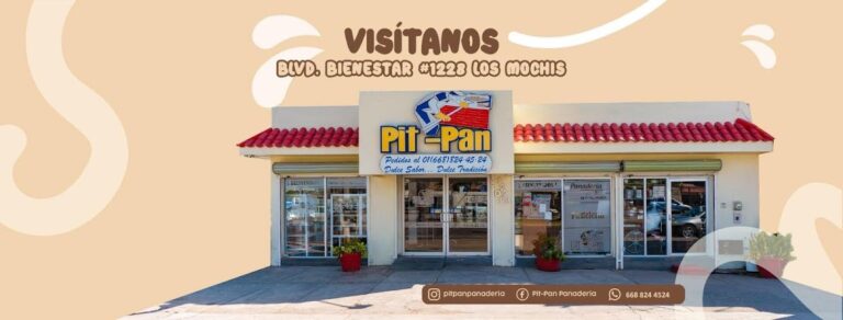 12461 pit pan 768x292