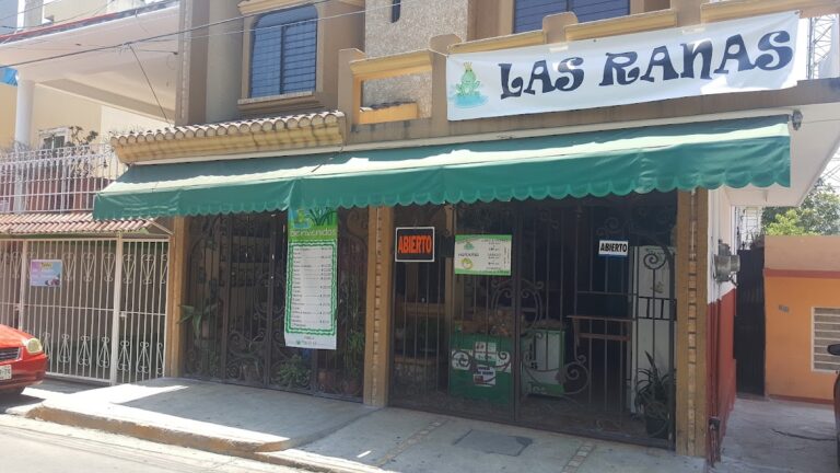 12467 panaderia las ranas 768x432