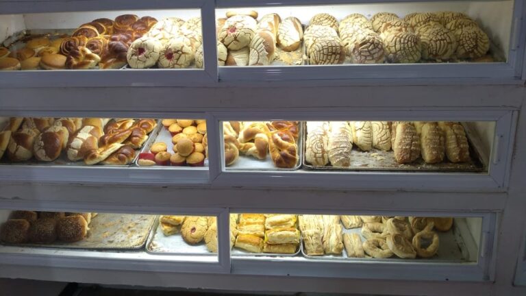 12519 panaderia los tampiquenos sucursal 27 septiembre 768x432