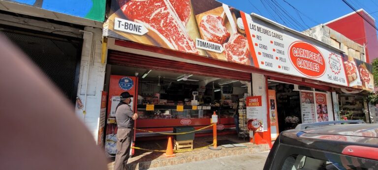 12551 carniceria canales 768x346