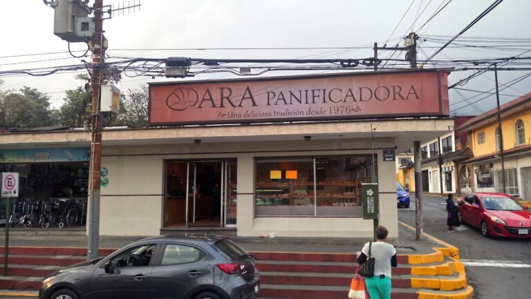 12557 panificadora ara 768x433