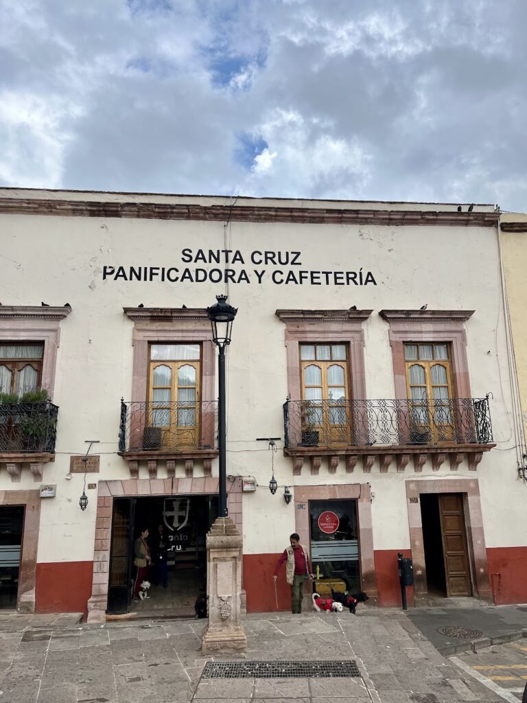 12563 panificadora santa cruz sucursal zacatecas 768x1024