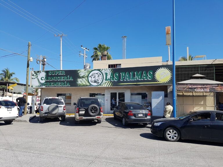 12595 carniceria y cremeria las palmas 768x576