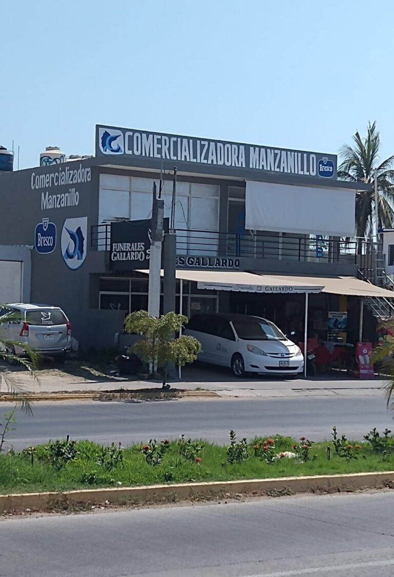 12682 comercializadora manzanillo 768x1124