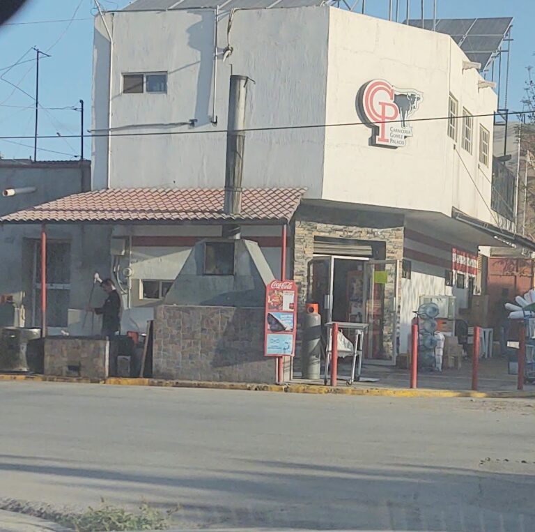 12697 carniceria gomez palacio 768x763