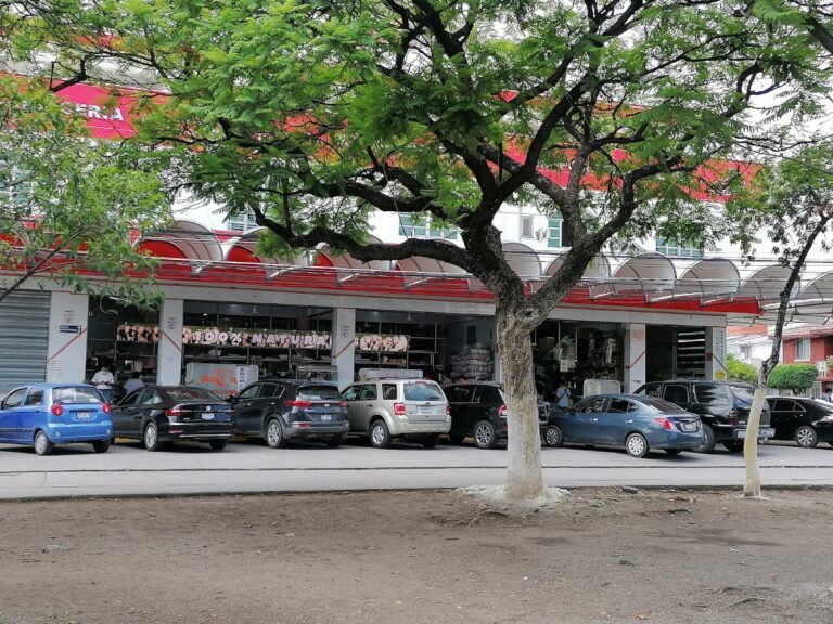 12712 carniceria d marco 768x576