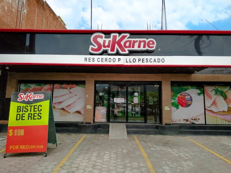 12773 sukarne 768x576