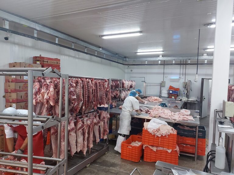 12789 carnico 768x576