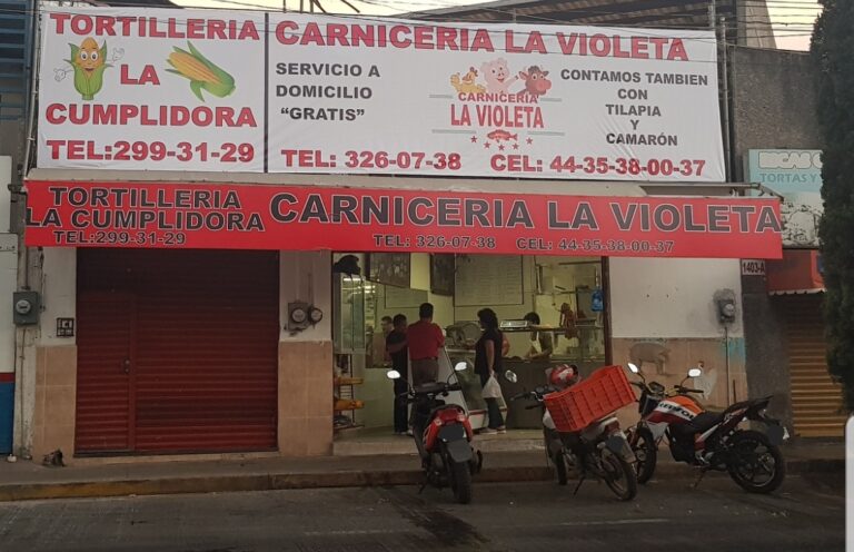 12797 carniceria la violeta 768x496