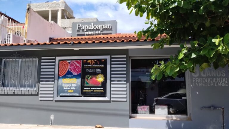 12894 carnes papaloapan huatulco 768x432