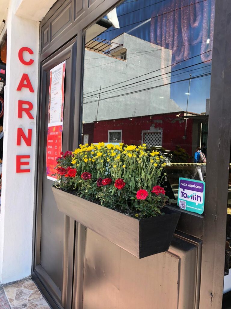 12909 distribuidora san pedro cholula 768x1024