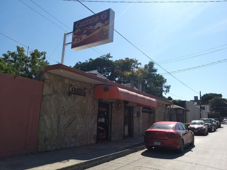 12948 carnes g 768x576