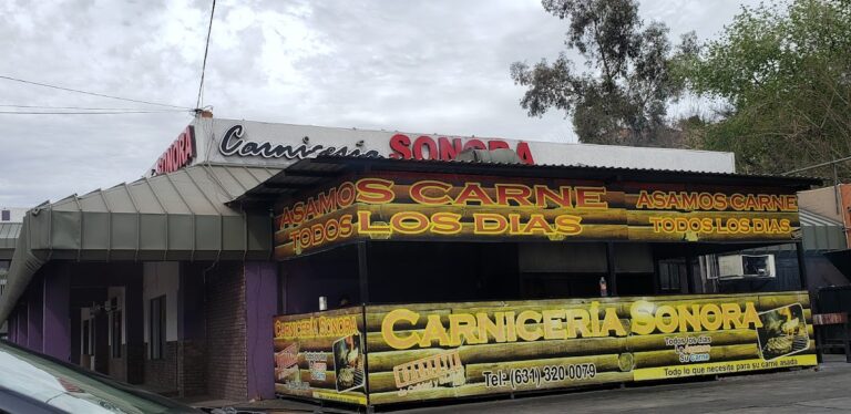 12978 carniceria sonora 768x374