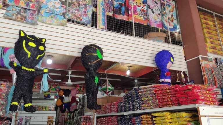 13044 central de abastos poza rica 768x432