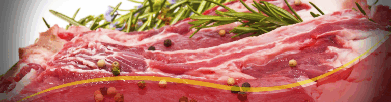 13054 carnicerias el jarocho 768x202