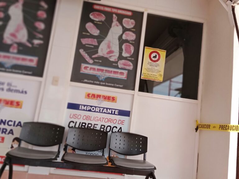 13061 carnes puerto mexico 768x576