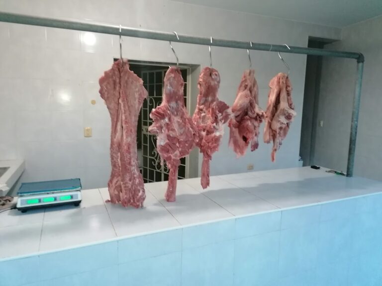 13065 carniceria 8221 la guadalupana 8220 768x576