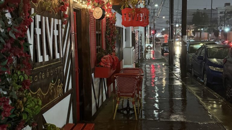 13081 velvet cafe bistro 768x432