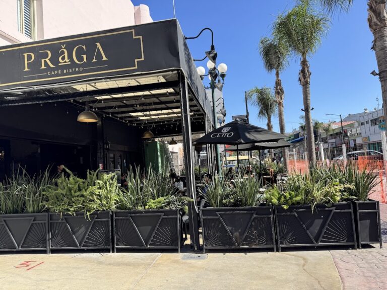 13091 praga cafe bistro 768x576