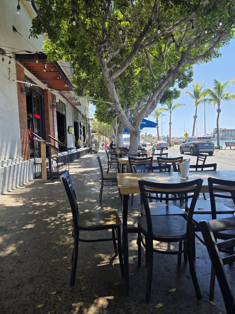 13103 cinnarolls 768x1024