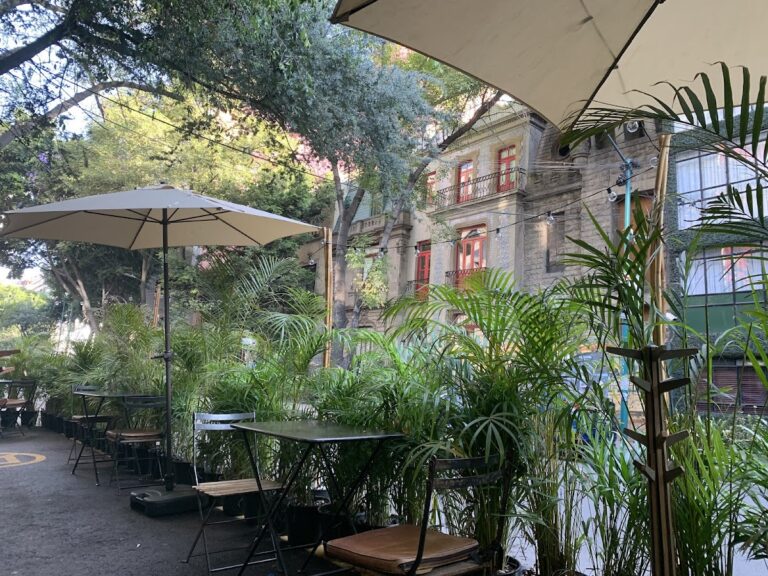 13165 cafe nin 768x576