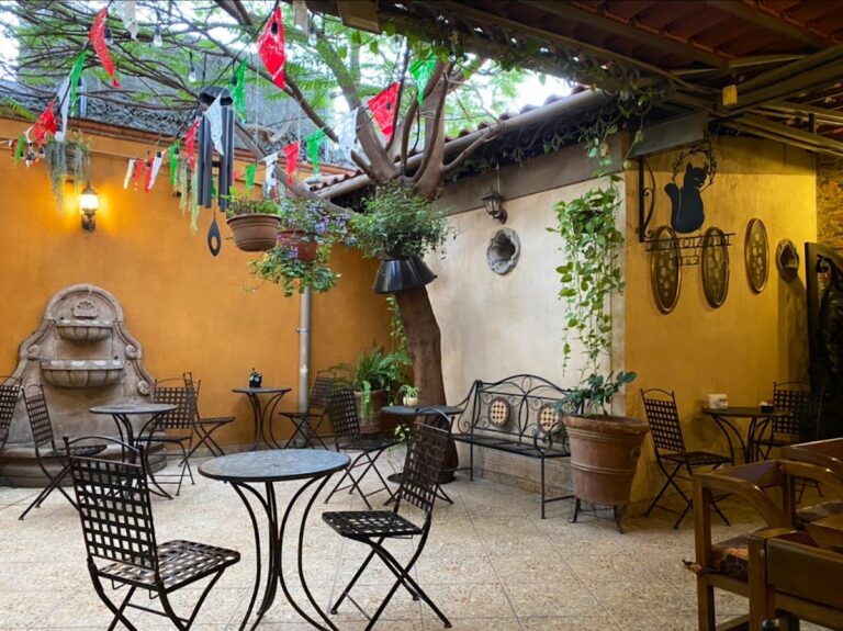 13229 el gato negro cafe 768x575