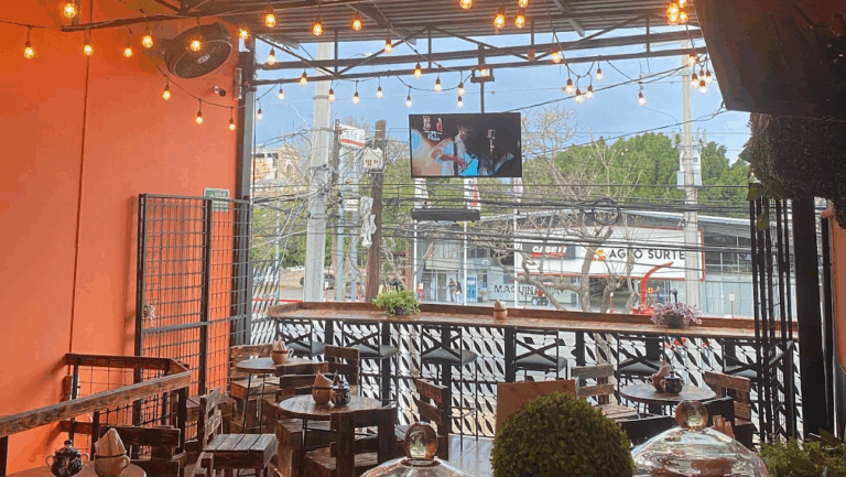 13257 coffee house celaya 768x433