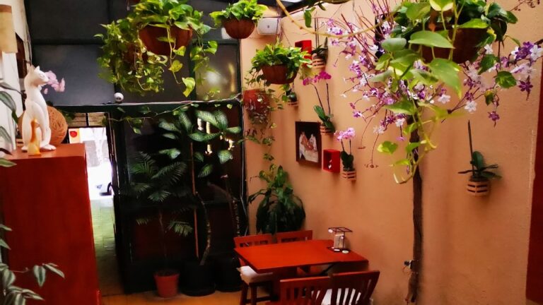 13295 restaurant cafe el gato cafe 768x432