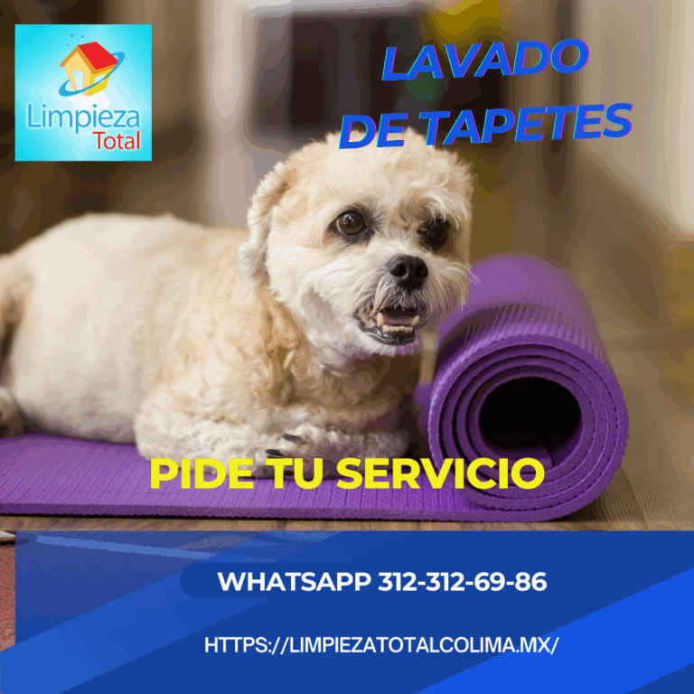 133 limpieza total colima 768x768