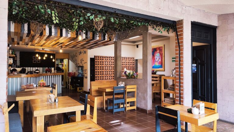 13357 el punto cafe cocina 768x433